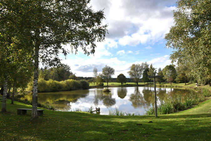 Bild des Riedwiesensee umrandet von Wiese und vielen Bäumen